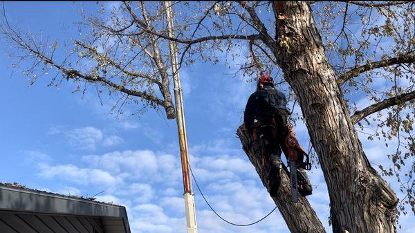 crane removal in Meridian, Id