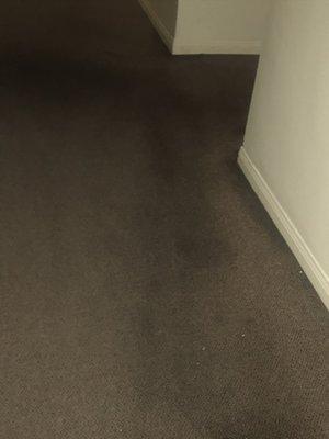 Hallway Carpet has been like this for years now! Since I moved in which was 2018!!