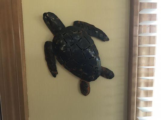 Wall turtle! :):)