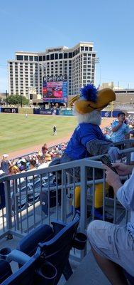 Schooner the seagull mascot