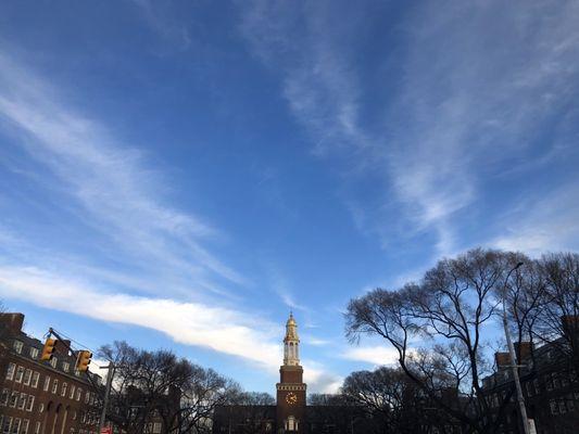 @bigmovie // At Brooklyn College, the sky's the limit!