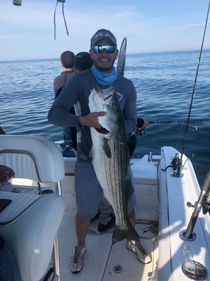 47" Striper