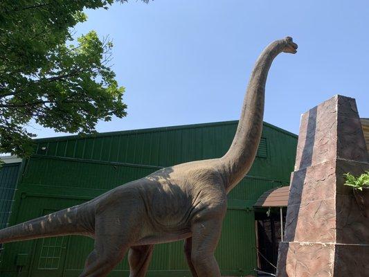 Brontosaurus