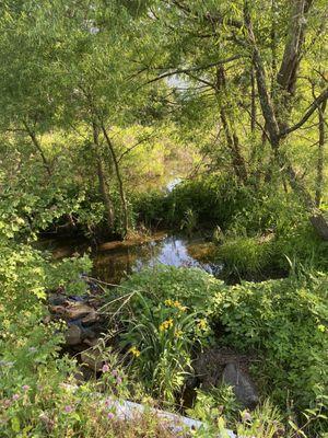 Nature area near Jumpers