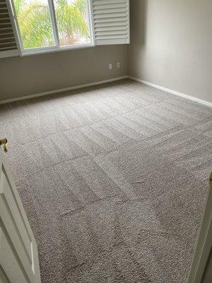 My carpets afterwards