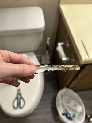 Disgusting ass mold