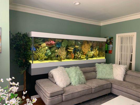 Custom 10ft Aquarium Installation. This 600-gallon acrylic fish tank features artificial reef inserts & a remote life support system.