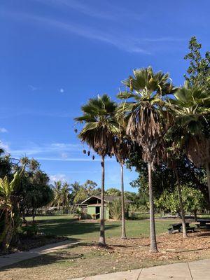 Maui Nui Botanical Gardens