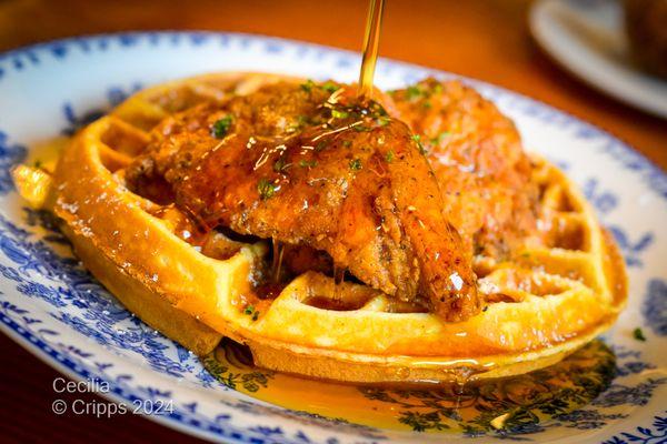 Fried Chicken & Waffle