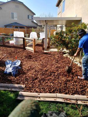 I asked Valentin to pour wood bark mulch into my vegetable garden and pathway.