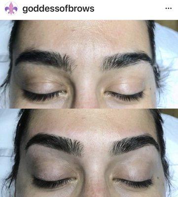 Brows by Lissette Diez