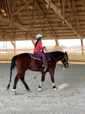 Lone Oak Equestrian Center