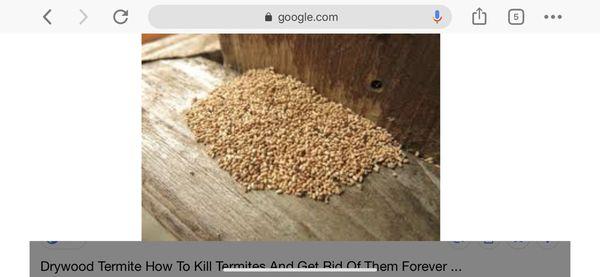 Termite pellets