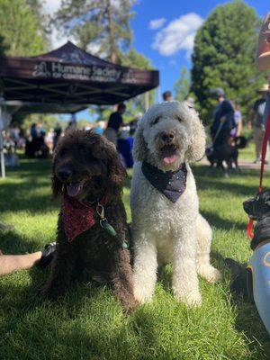 The day before their haircuts