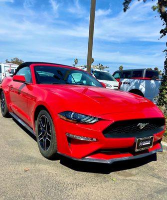 Ford Mustang Convertible ‍