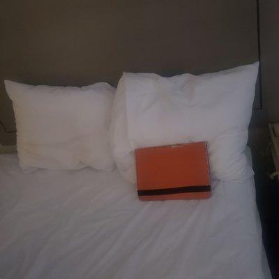 I pad for reference. They're not real full pillows and they concealed them ny covering them up with one you assume is a throw pillow