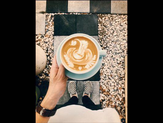 Latte art swan