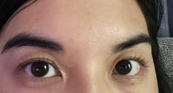 Lash lift! Excuse my awkward selfie stare!