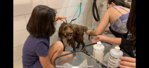 Oliver being bathed.