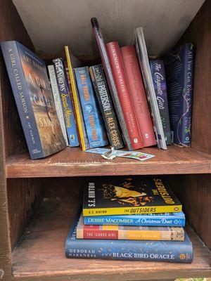 Kevin Craig Little Free Library, 1408 Caistor Lane, Raleigh