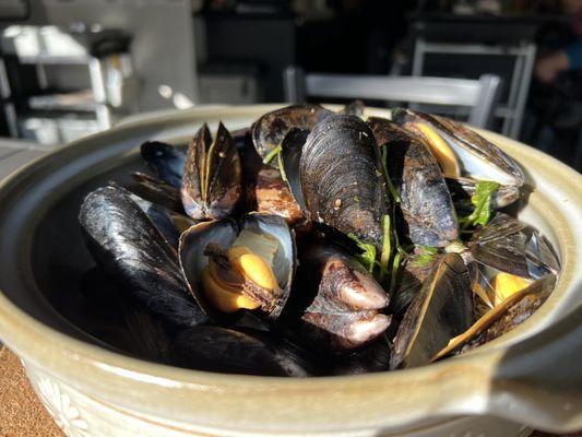 PEI Mussels