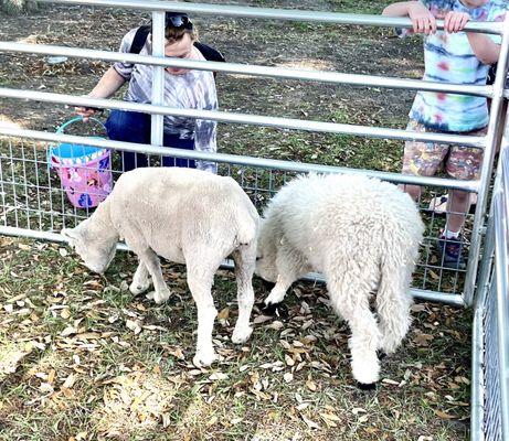 Mary Ross Waterfront Park -- Easter Egg Hunt 2024