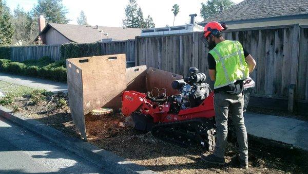 Stump Grinding