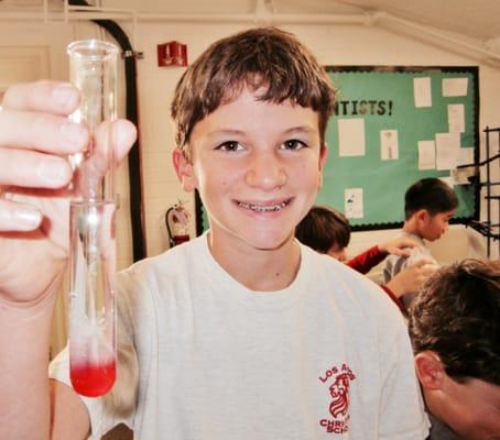 Strawberry DNA extraction experiment