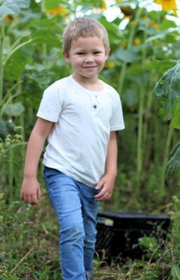 Family Portraits
 
 Sunflower fun