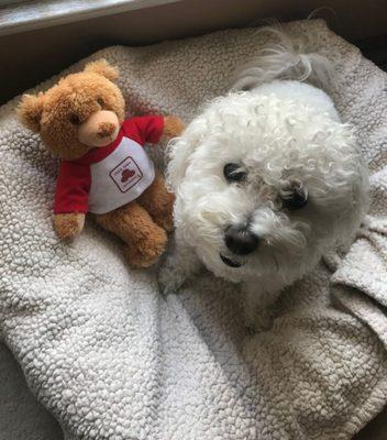 Mila, one of our office mascots, with her best friend: the State Farm Good Neighbear!