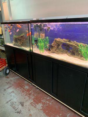 Fish tank