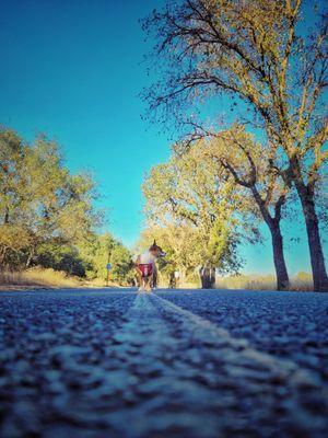 Bike road