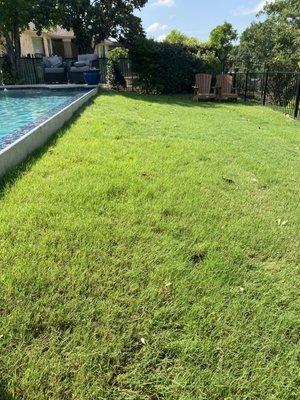 The results of our lawn care service