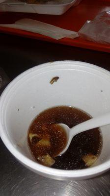 Fly on the side of the cup that I fished out of my soup after noticing it floating in the soup. No refund was given!!!