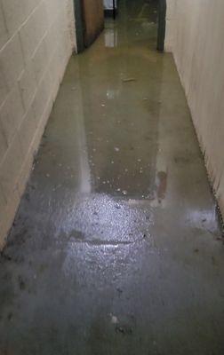 Entrance to flooded basement, photo taken July 2021