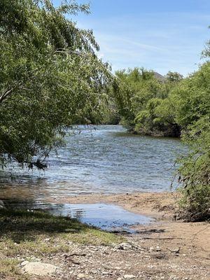 Picture of the river from landing 4. The bend in the distance is where there were mini rapids as the river moved around the curve fast.