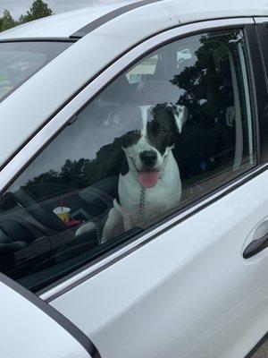 Tradd behind the wheel.