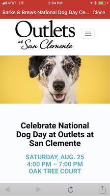 Celebrate the Dog