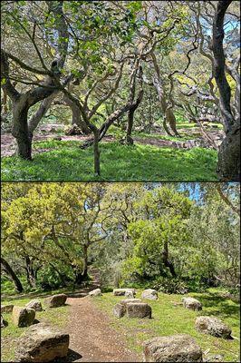 National AIDS Memorial Grove, ancient Santa Maria de Ovila monastery stones