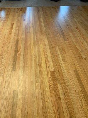 Oak hardwood floor - after a complete refinish.  Beautiful!