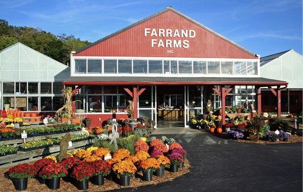 Farrand Farms in the Fall