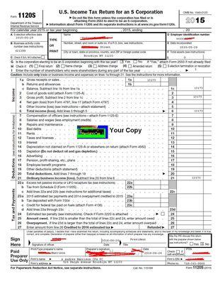 Actual form 1120-s USA corporation tax return