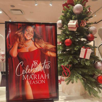 Mariah is plastered everywhere