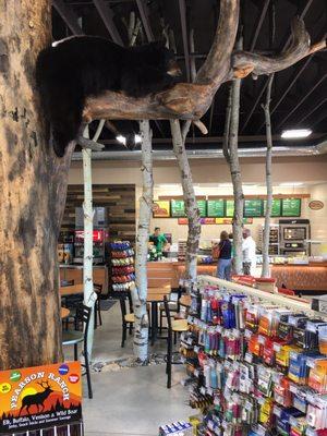 A black bear looks over the new Subway dining area in Garden Valley. Very, very cool.