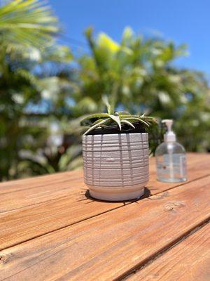 picnic tables with cute decor and a bottle of hand sanitizer