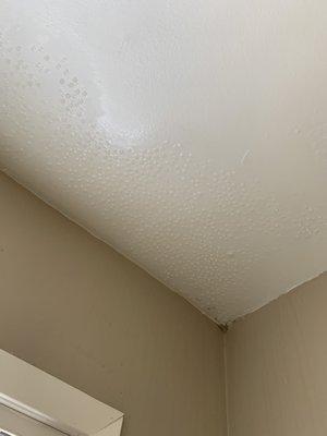 Condensation on ceiling and mold.