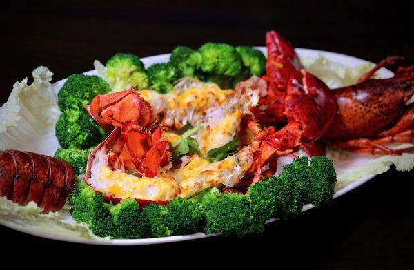 Cheese lobster