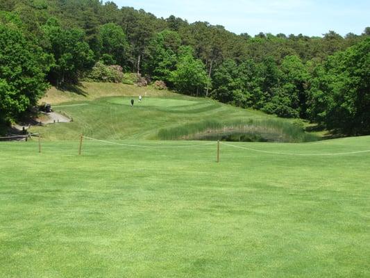 8th hole really gets interesting when you reach the rise above the green