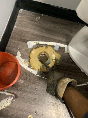 Drain Cleaning