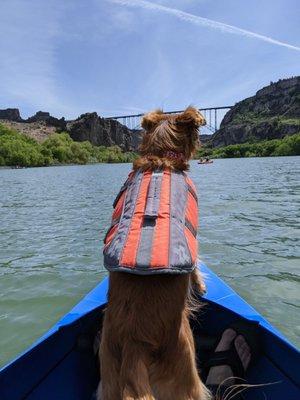 Great place to kayak (just remember to purchase a permit). Cute dog may not be present upon your visit